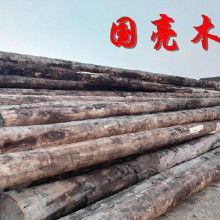 落葉松木木材的市場分析與應(yīng)用前景